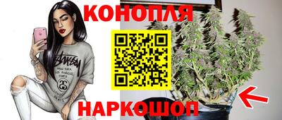 PSILOCYBIN Кулебаки