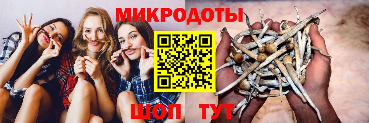 Псилоцибиновые грибы Psilocybe Керчь