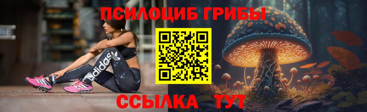 Галлюциногенные грибы MAGIC MUSHROOMS  Вход с VPN  Керчь 